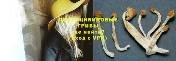 тгк Удомля