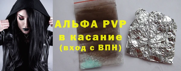 СК Новозыбков