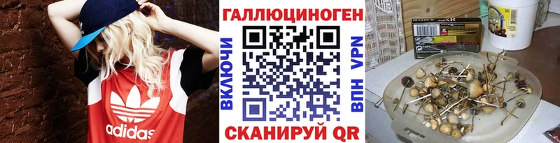 kraken ТОР  наркота  Ясногорск  Псилоцибиновые грибы мицелий 